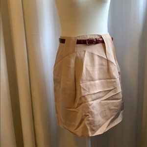 Zara blush skirt
